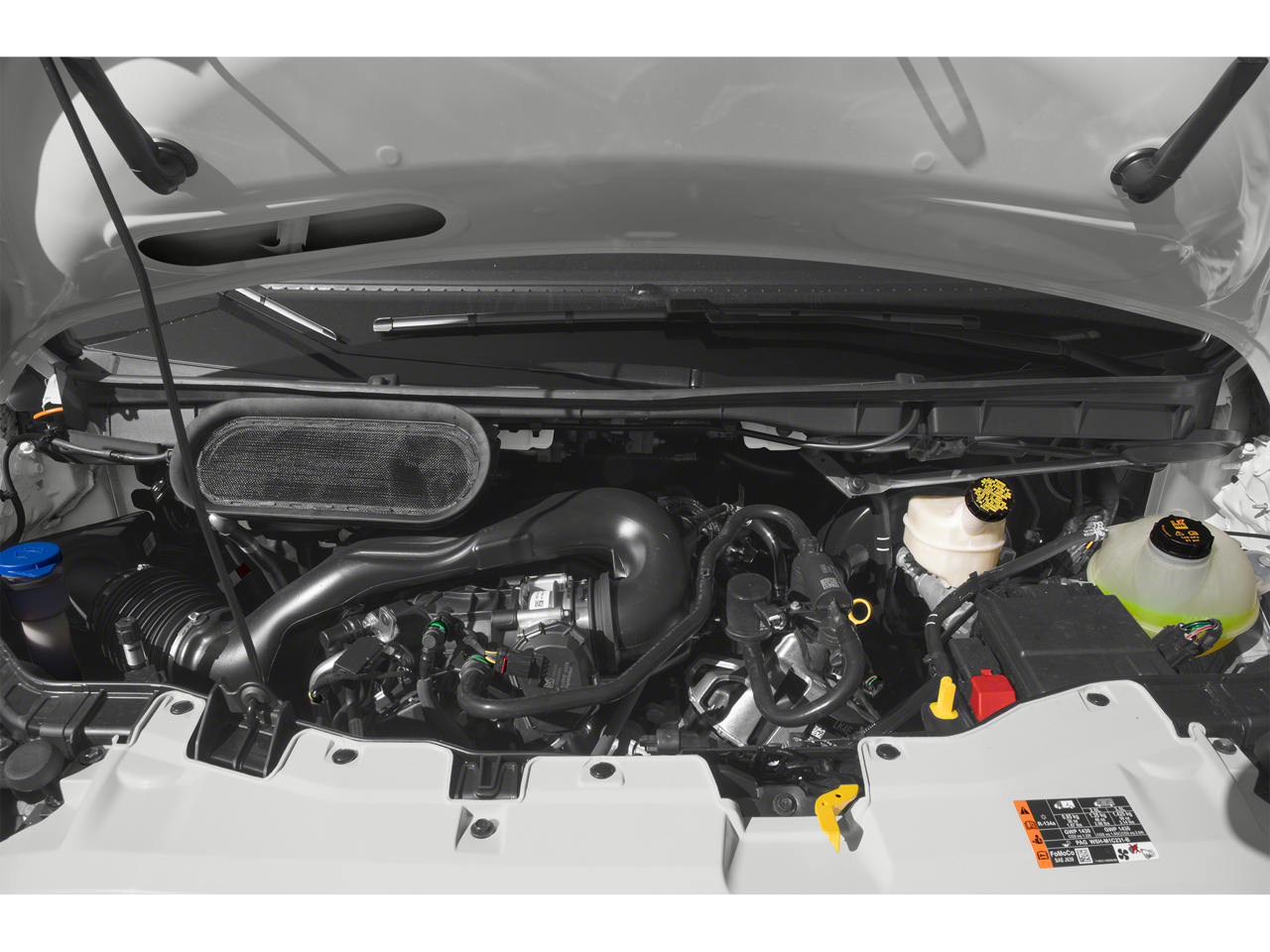 2020 Ford Transit Passenger Wagon XLT