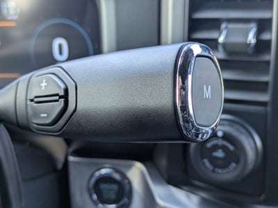 2025 Ford Super Duty F-250 SRW Platinum