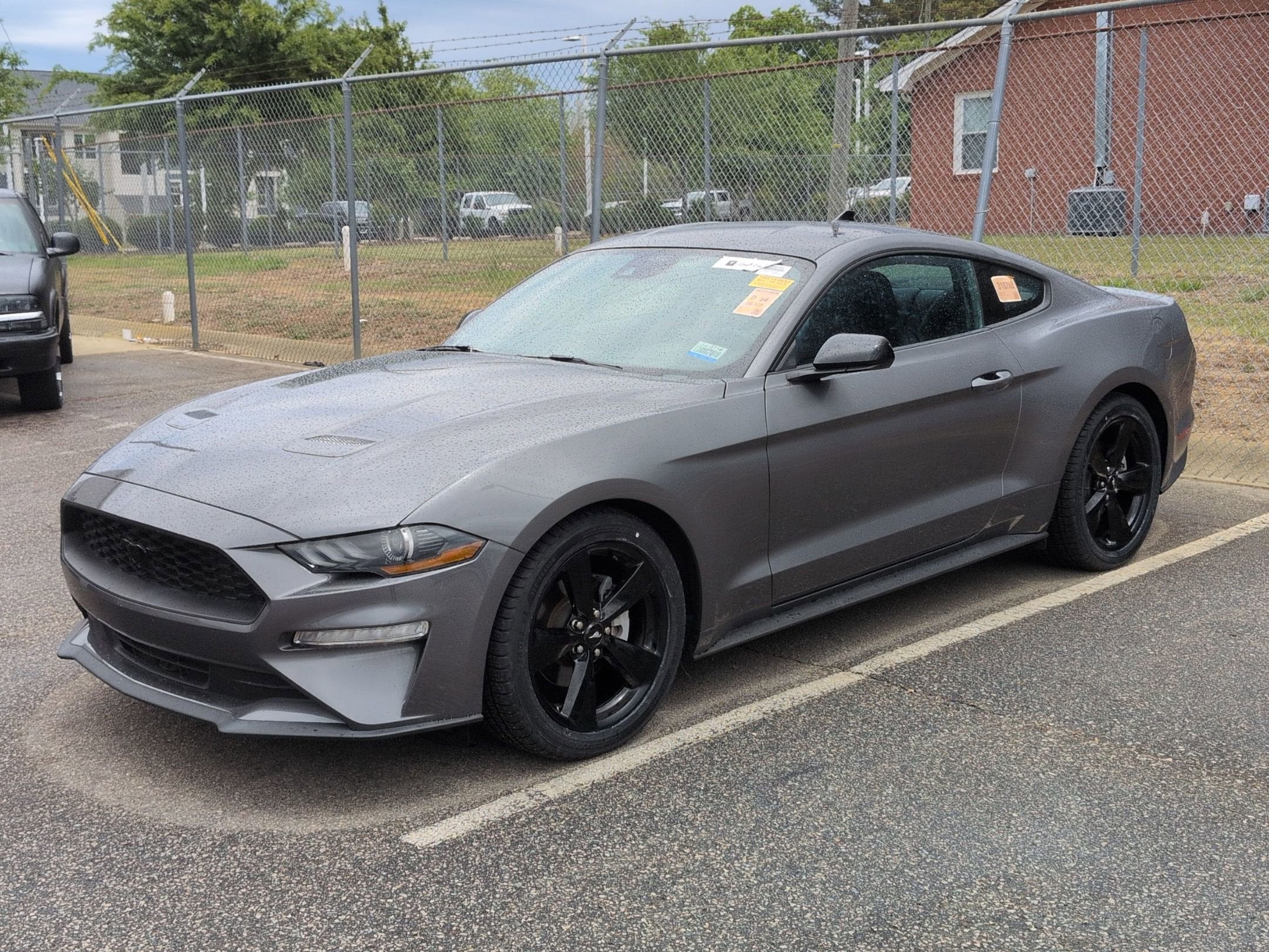 2023 Ford Mustang EcoBoost