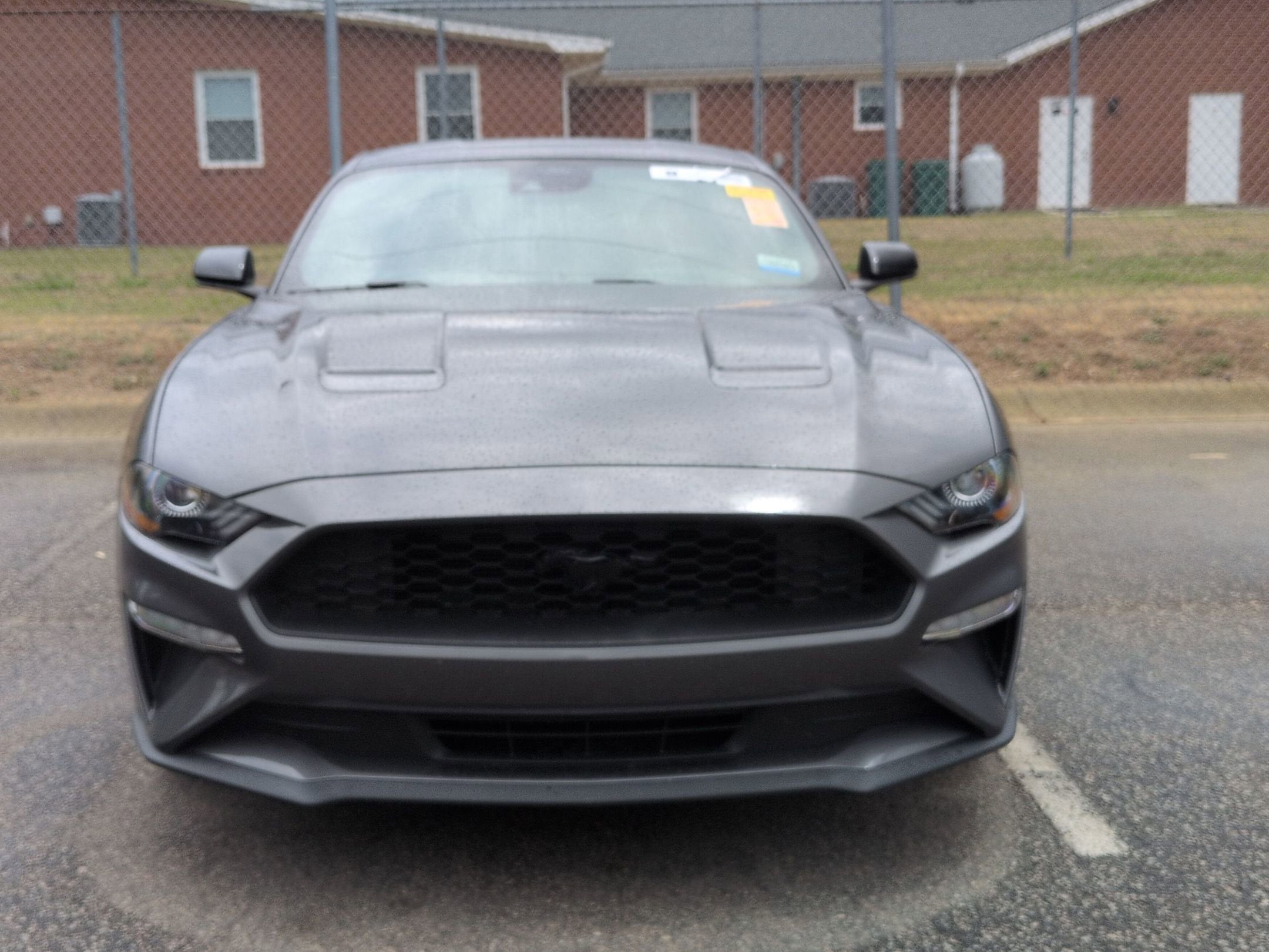 2023 Ford Mustang EcoBoost