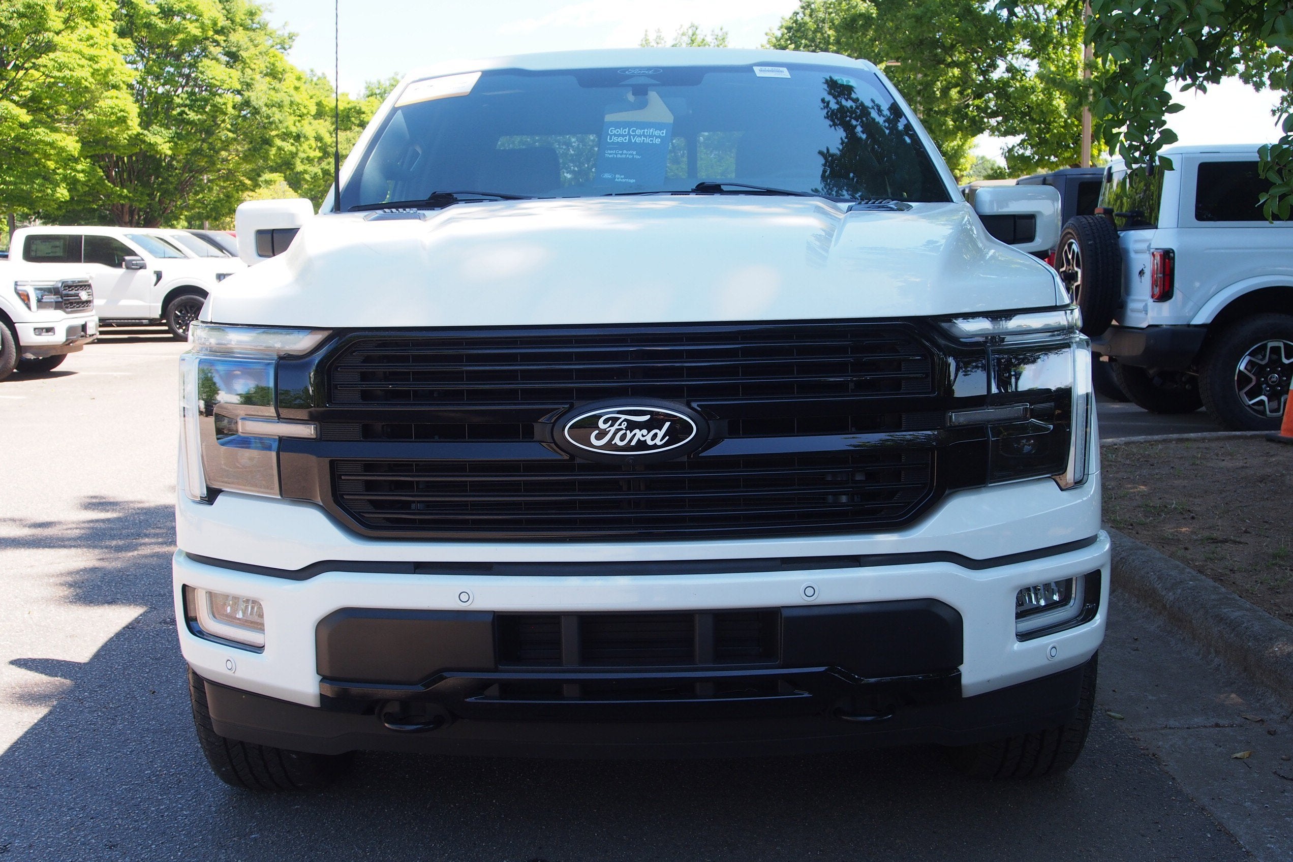 2025 Ford F-150 Platinum