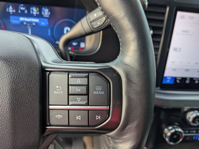 2025 Ford Super Duty F-250 SRW Platinum