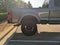 2025 Ford Super Duty F-250 SRW Black Widow Edition