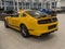 2013 Ford Mustang Boss 302