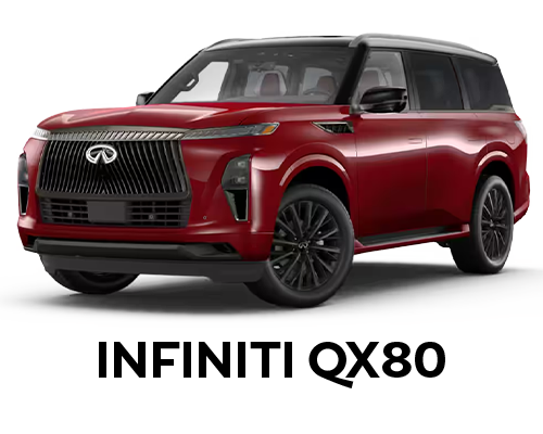 INFINITI QX80